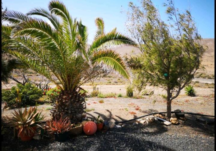 Casa La Solapa Pajara (Fuerteventura) Exterior photo